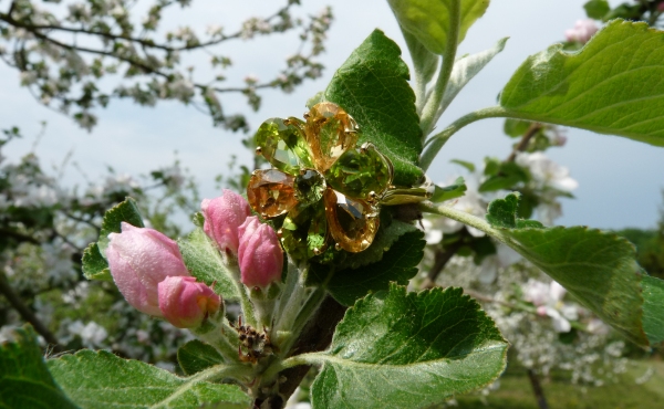 Floravella