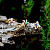 Bague&nbsp;Serti griffe Fleur Bleuet - Image&nbsp;4 