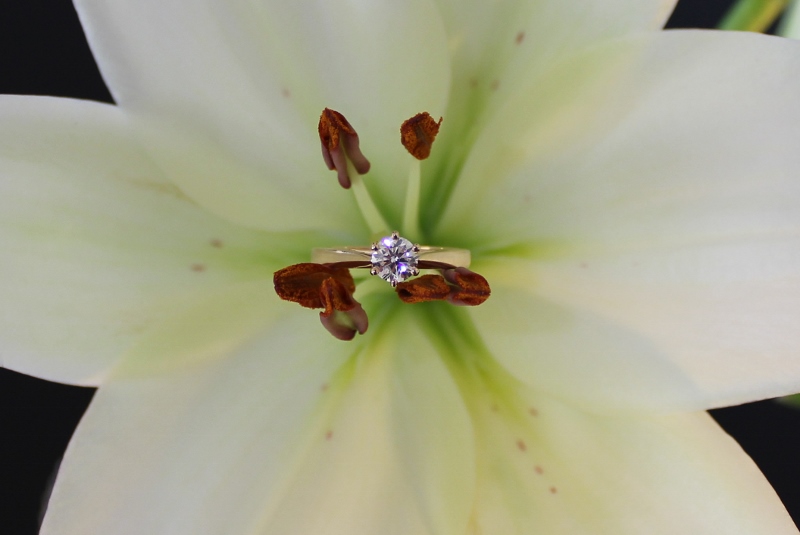 Bague de fiançailles Serti griffe Noella - Image 3 