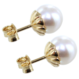 Boucles d\'oreilles&nbsp;Dolce 6mm - Image&nbsp;2 