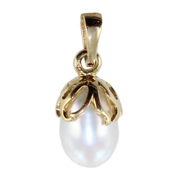 Pendentif Or Jaune Vanicea 