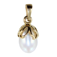 Pendentif Or Jaune Vanicea 