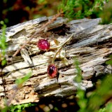 Pendentif&nbsp;Bourgeons 28mm - Image&nbsp;2 