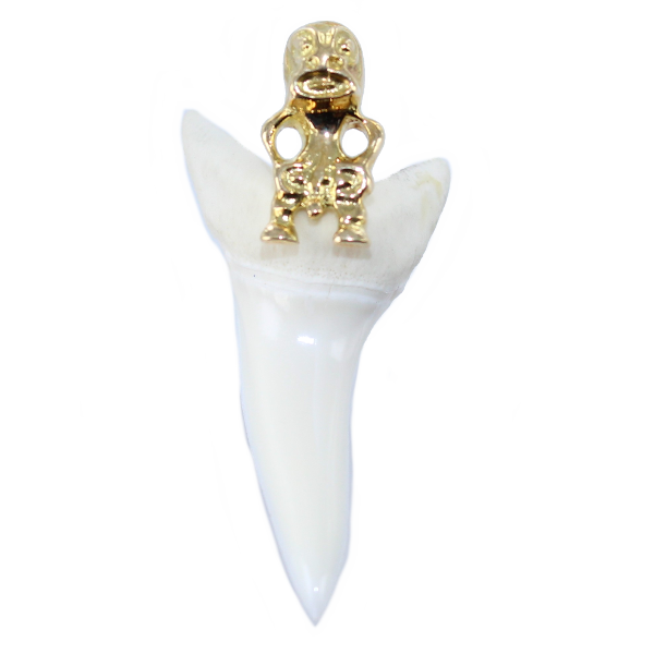 Pendentif Or Jaune Dent de requin Tiki mako 