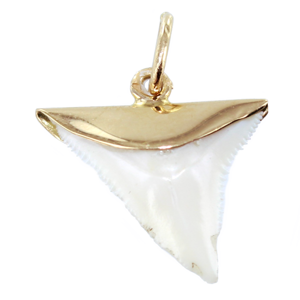 Pendentif Dent De Requin Montée Sur Or 18 Carats - Bijou Occasion Unique Et Puissant