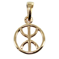 Pendentif Or Jaune Symbole berbère entouré - 12 mm 