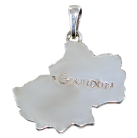 Pendentif Argent Carte Lot 