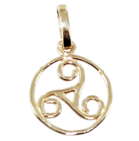 Pendentif Or Jaune Triskell encerclé - Taille 2 