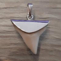 Pendentif Dent de Requin Bouledogue - Image 4 