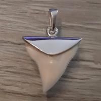 Pendentif Dent de Requin Bouledogue - Image 3 