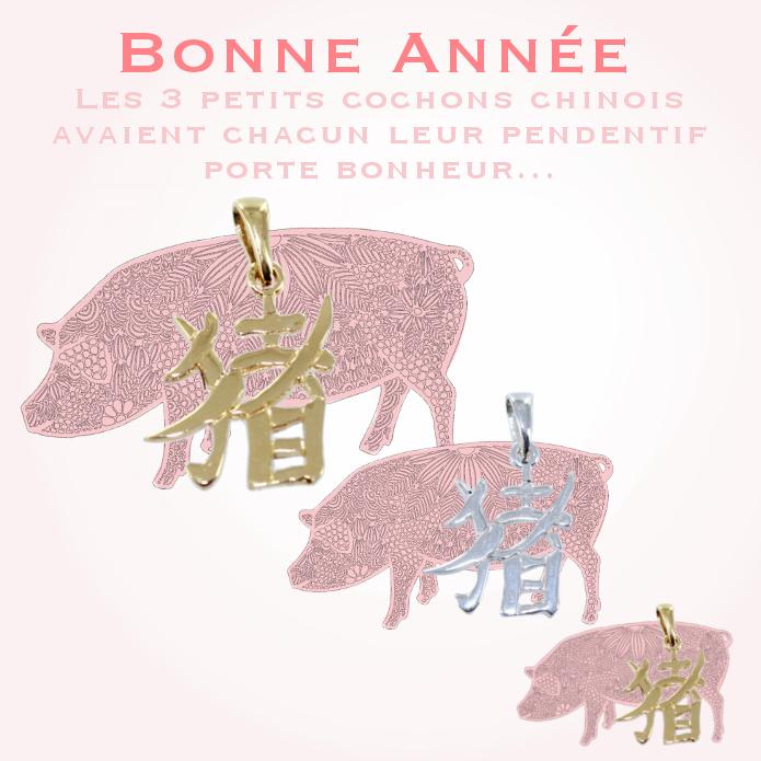 Pendentif Symbole chinois Cochon - Image 2 