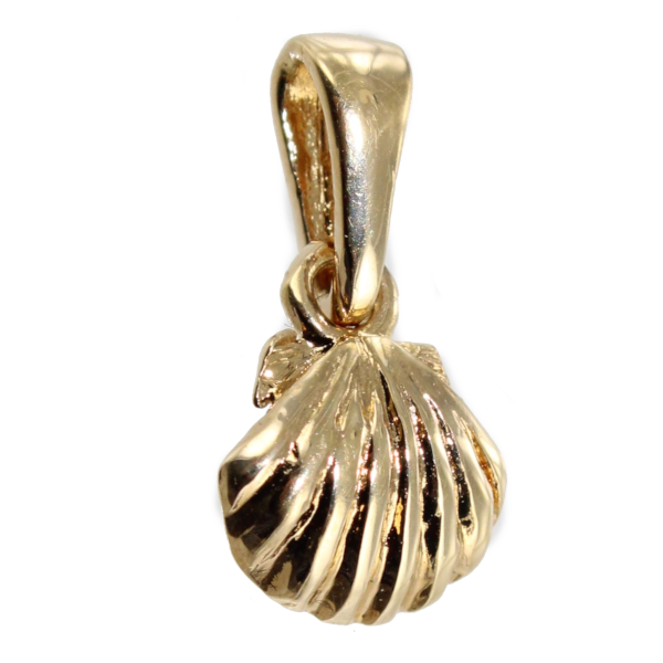 Pendentif&nbsp;Coquille Saint Jacques - Taille 1 Exclu - Image&nbsp;2 