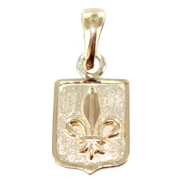 Pendentif Or Jaune Blason Fleur de lys 