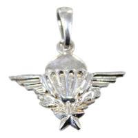 Pendentif Argent Insigne Armée de l'Air 