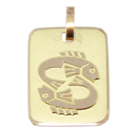 Pendentif Or 18 K Jaune Plaque Symbole astrogique 