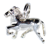 Pendentif Argent Trotteur - Taille 3 