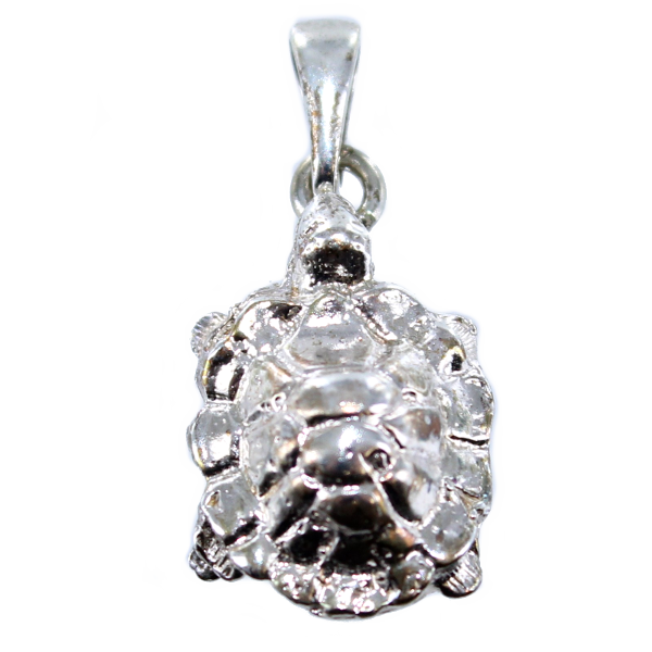 Pendentif Argent Tortue - Taille 3 