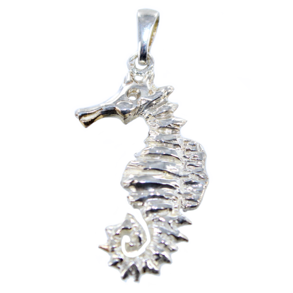 Pendentif Argent Hippocampe - Taille 5 