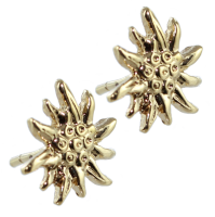 Boucles d'oreilles Or Jaune Edelweiss 