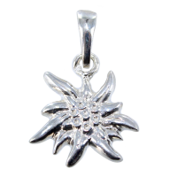 Pendentif Argent Edelweiss - Taille 1 