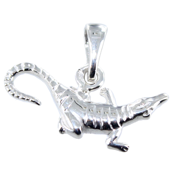 Pendentif Argent Salamandre 