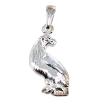 Pendentif Argent Faucon 