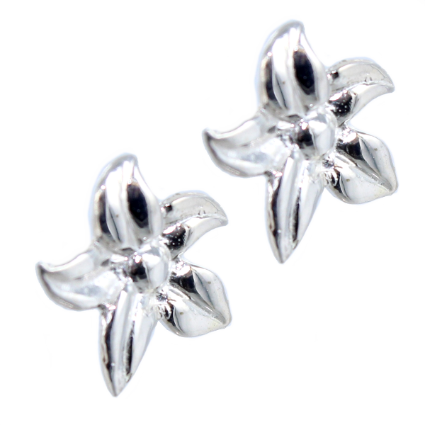 Boucles d'oreilles Argent Floris 