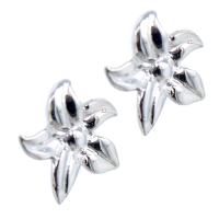 Boucles d'oreilles Argent Floris 