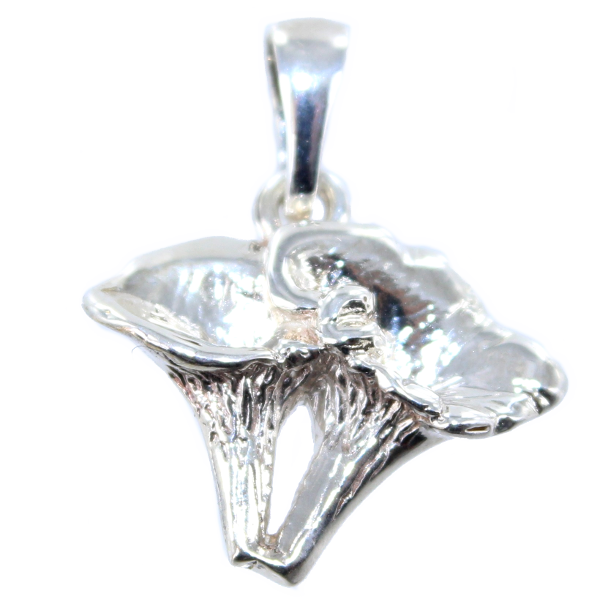 Pendentif Argent Girolles 