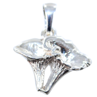 Pendentif Argent Girolles 