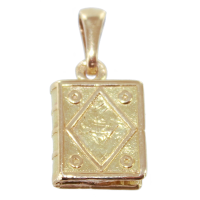 Pendentif Or Jaune Livre 