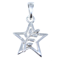 Pendentif Argent Etoile et feuille d'acacia 