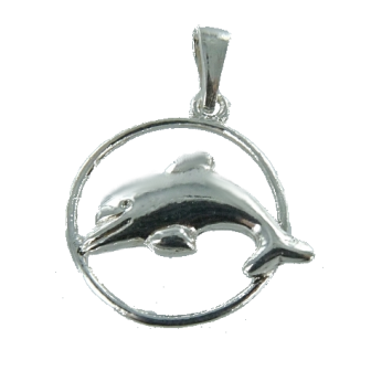 Pendentif Argent Dauphin avec cerceau 