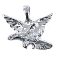 Pendentif Argent Aigle 