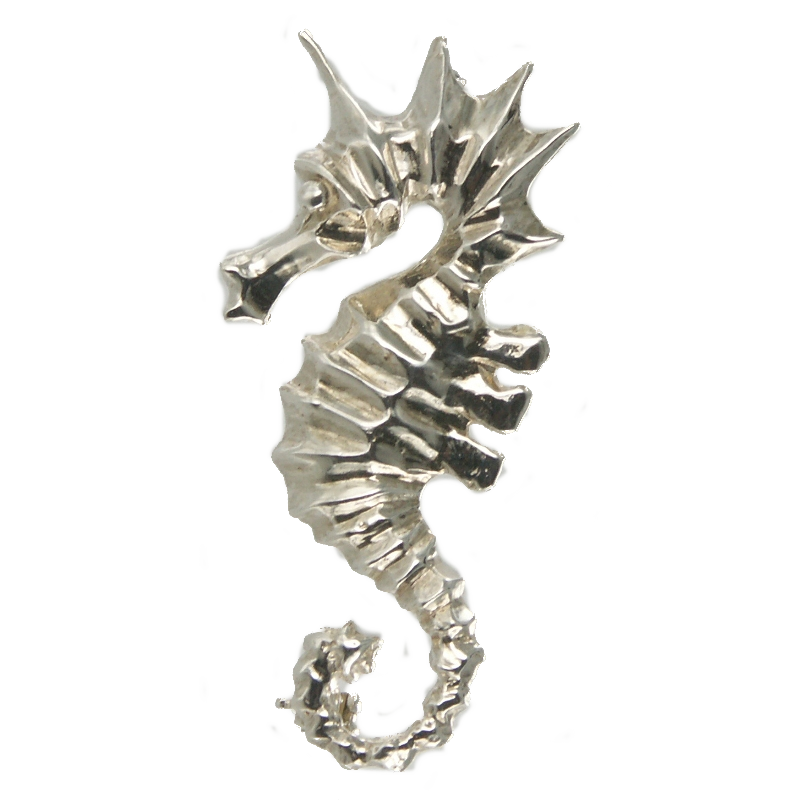 Broche Argent Hippocampe 