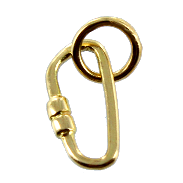 Pendentif Mousqueton Patte Animal Goldene Hufeisen - Argent 925 Avec Zircone