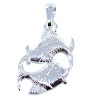 Pendentif Argent Poisson 