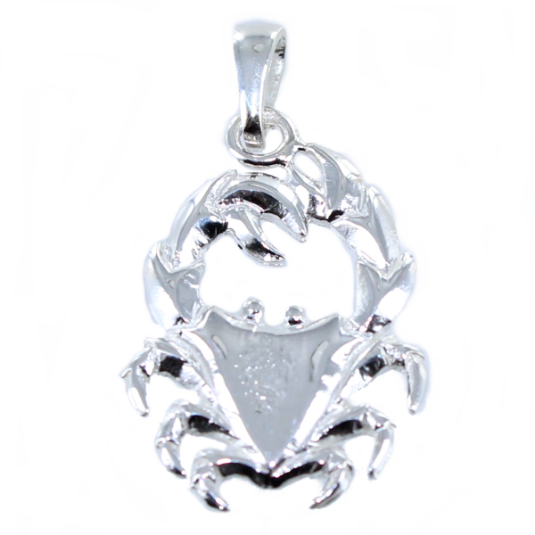 Pendentif Argent Cancer 