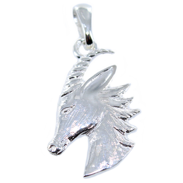 Pendentif Argent Capricorne 